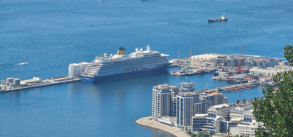 A photo of a cruise ship docked at the north mole.