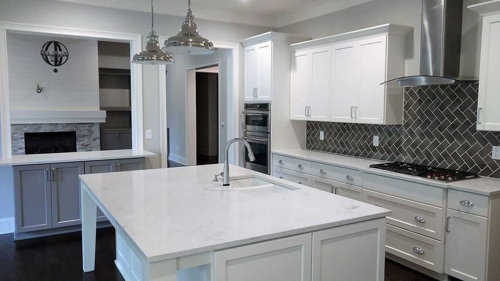 Mt Island Lake - Kitchen/Living