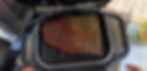 ree