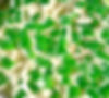 BUKO PANDAN