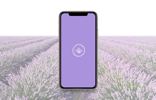 web cover2.png