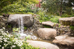 Sarah Eberle RHS Chelsea 2021 Mark Spencer photography 1