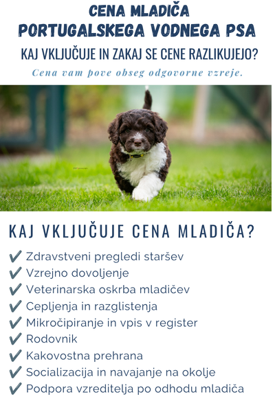 Cena mladica info.png