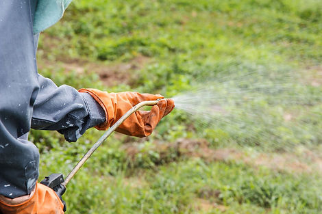 weed-management-services-1000x1000.jpg