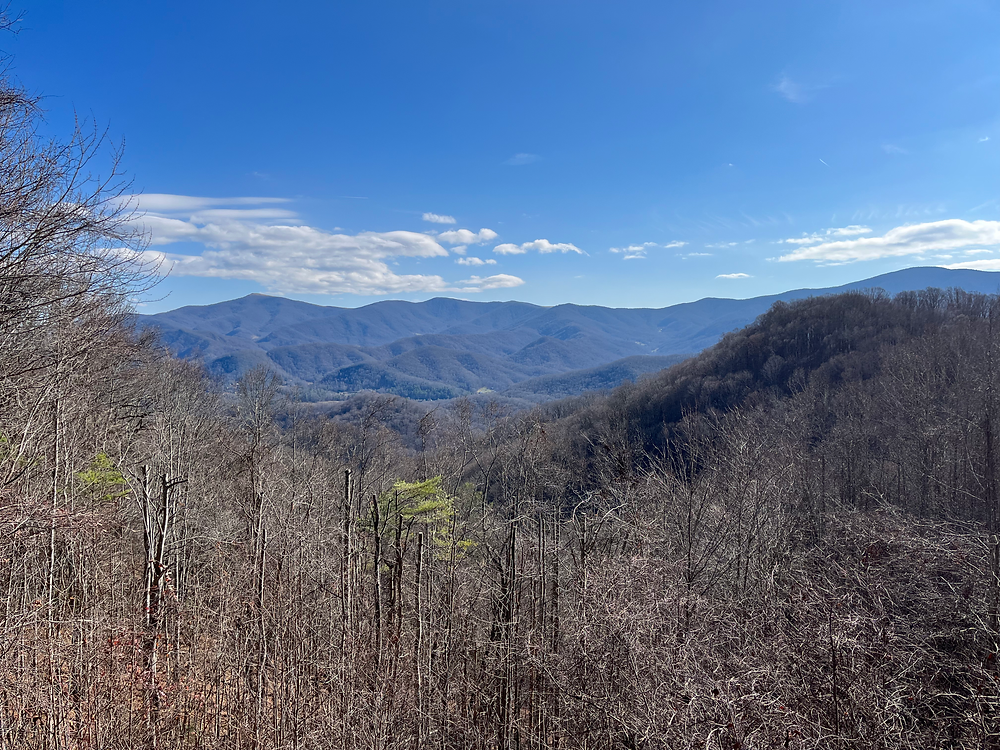 Roan Mountain State Park in Roan Mountain, NC