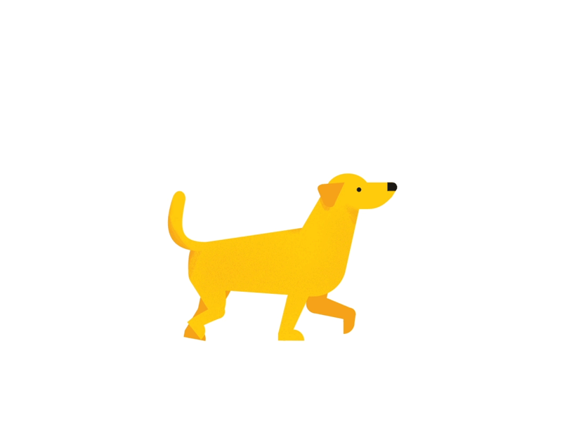 dog.gif