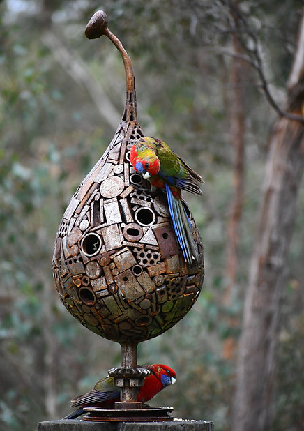 DSC_6316_edited.jpg