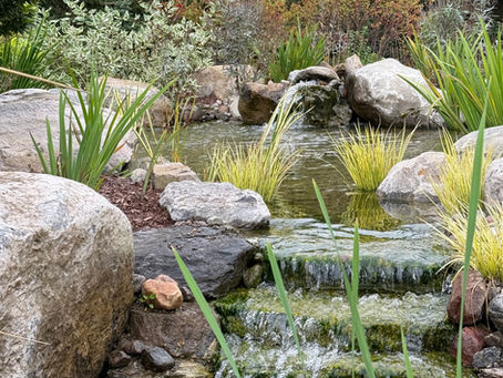 WATER GARDEN