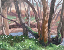 Wood Anemones on Witches Lane