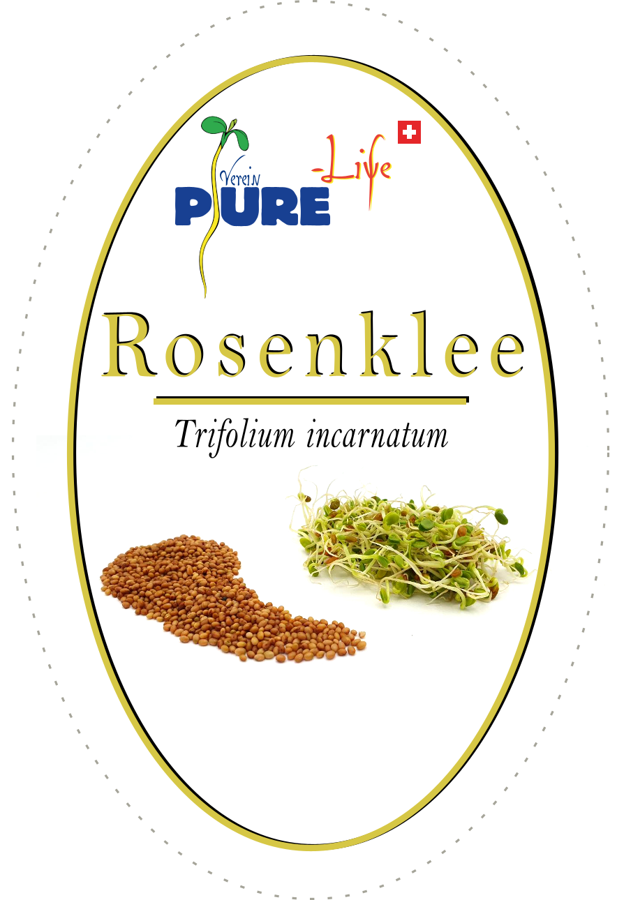 Miniaturbild: Rosenklee / Inkarnatklee