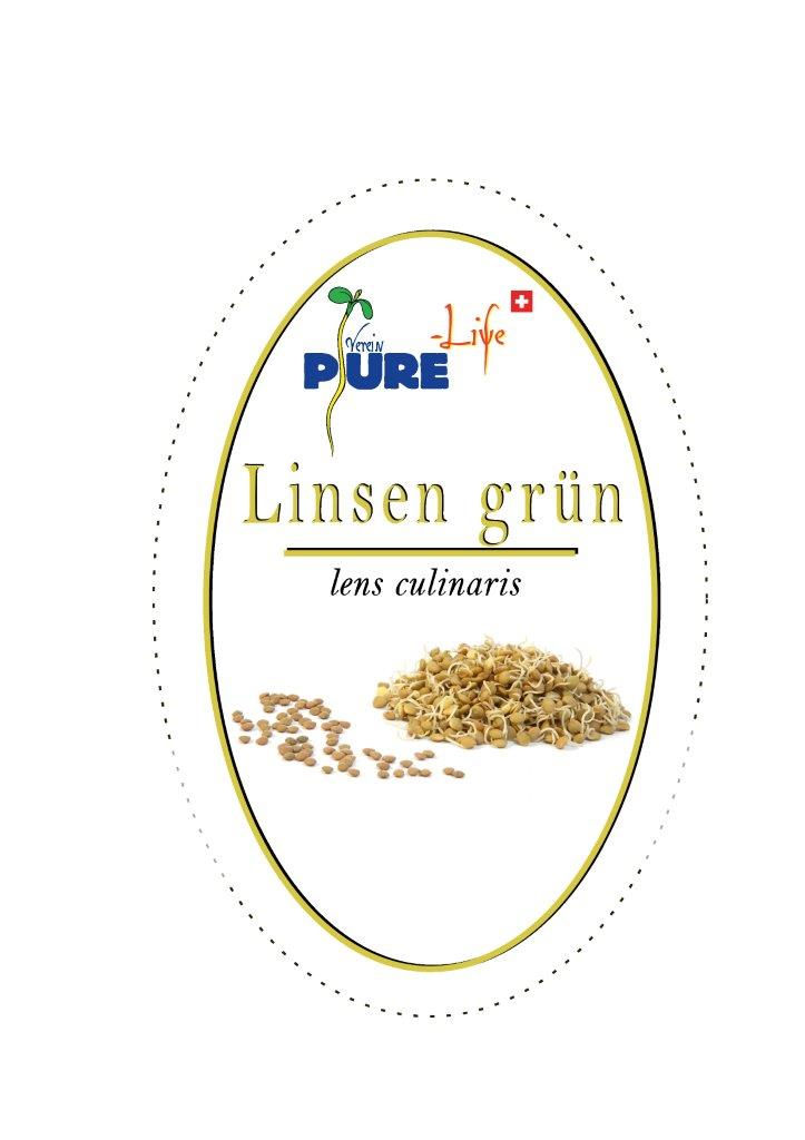 Miniature : Lentilles vertes