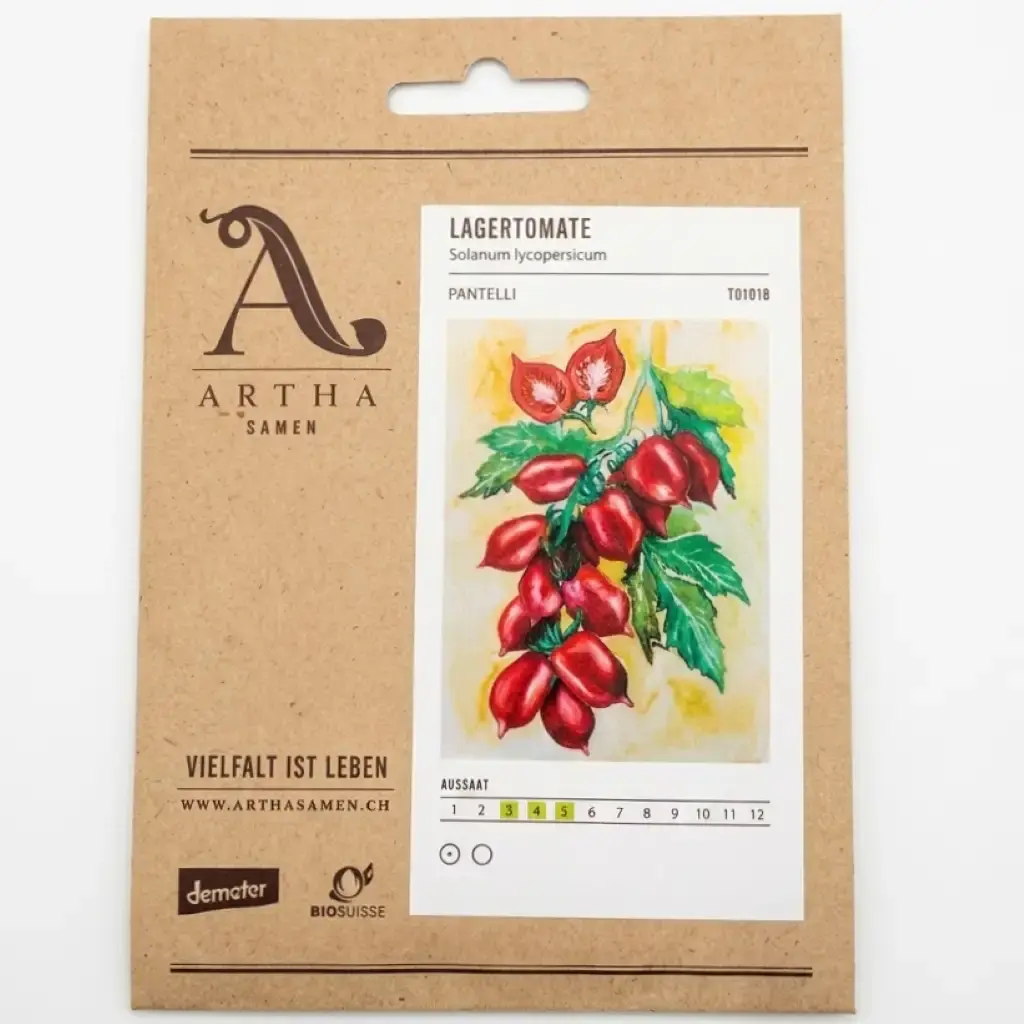 Tomates, Lagertomate "Pantelli"
