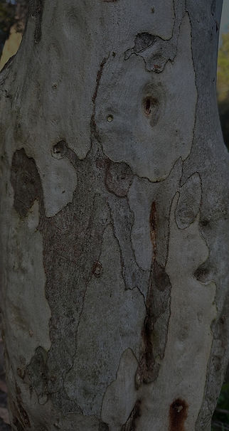 Ceramic Glaze in an abtract pattern