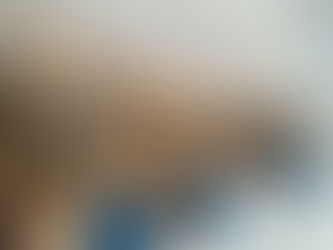 Curtains for Palace Projects