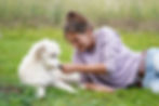 hundefriseur-2b