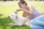 hundefriseur-3