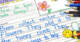 insect-inquiry-1_edited.jpg