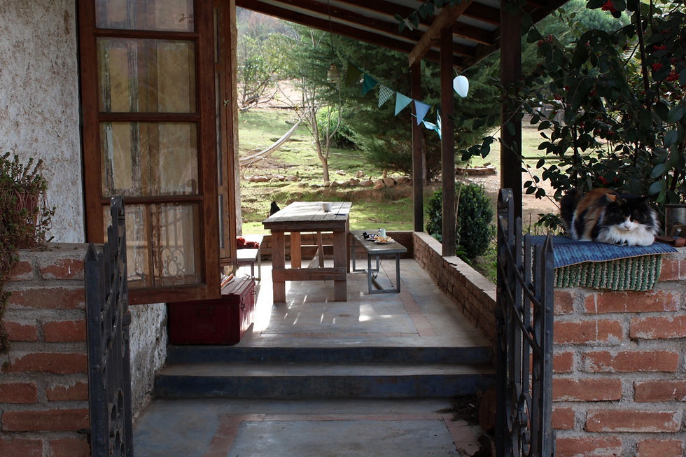 campesano terrace