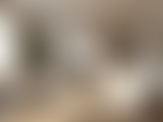 Discover Premium Interior Design Services for Indian Homes