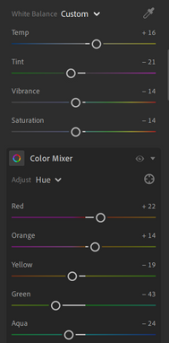 Lightroom editing tips color grading