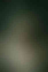 Portrait of a young blonde woman with orchid flowers