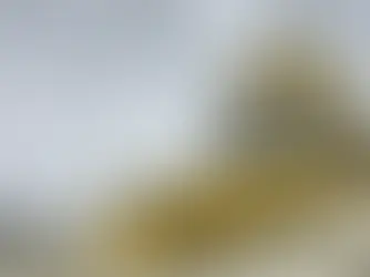 How a Government Shutdown Affects the Real Estate Market — What Buyers, Sellers, and Investors Need to Know