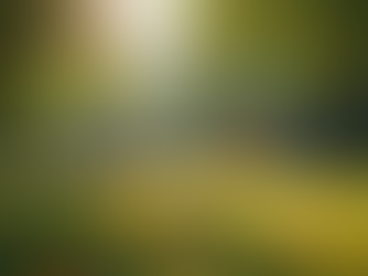 Exploring Parks and Recreation in Meridian