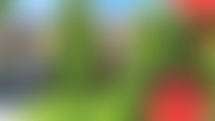 Instagramはじめました！