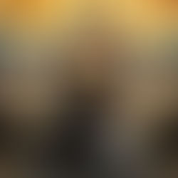 Skull and Bones Review