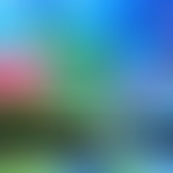 Kirby stands in a lush, overgrown cityscape and an icy, cosmic world. Text: "Dapper Tux x Kirby and the Forgotten Land Nintendo Switch 2 Edition + Star-Crossed World."