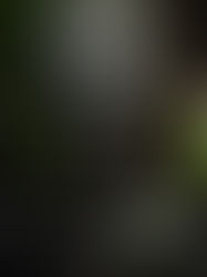 Call of Duty: Modern Warfare II Release Date Revealed