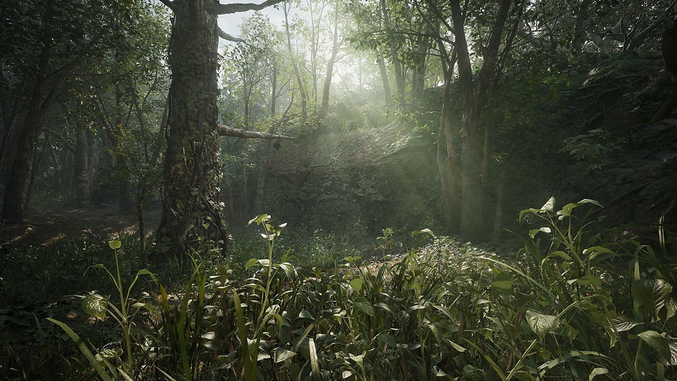 Sunlight filters through dense green forest foliage, illuminating leaves and casting shadows. A tranquil, serene natural scene in Metal Gear Solid Delta: Snake Eater.