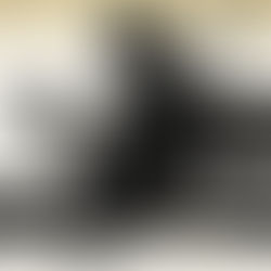 Ghost of Tsushima: Director's Cut Review