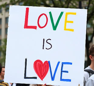 homemade protest sign with bright lettering spelling out love is love.jpg