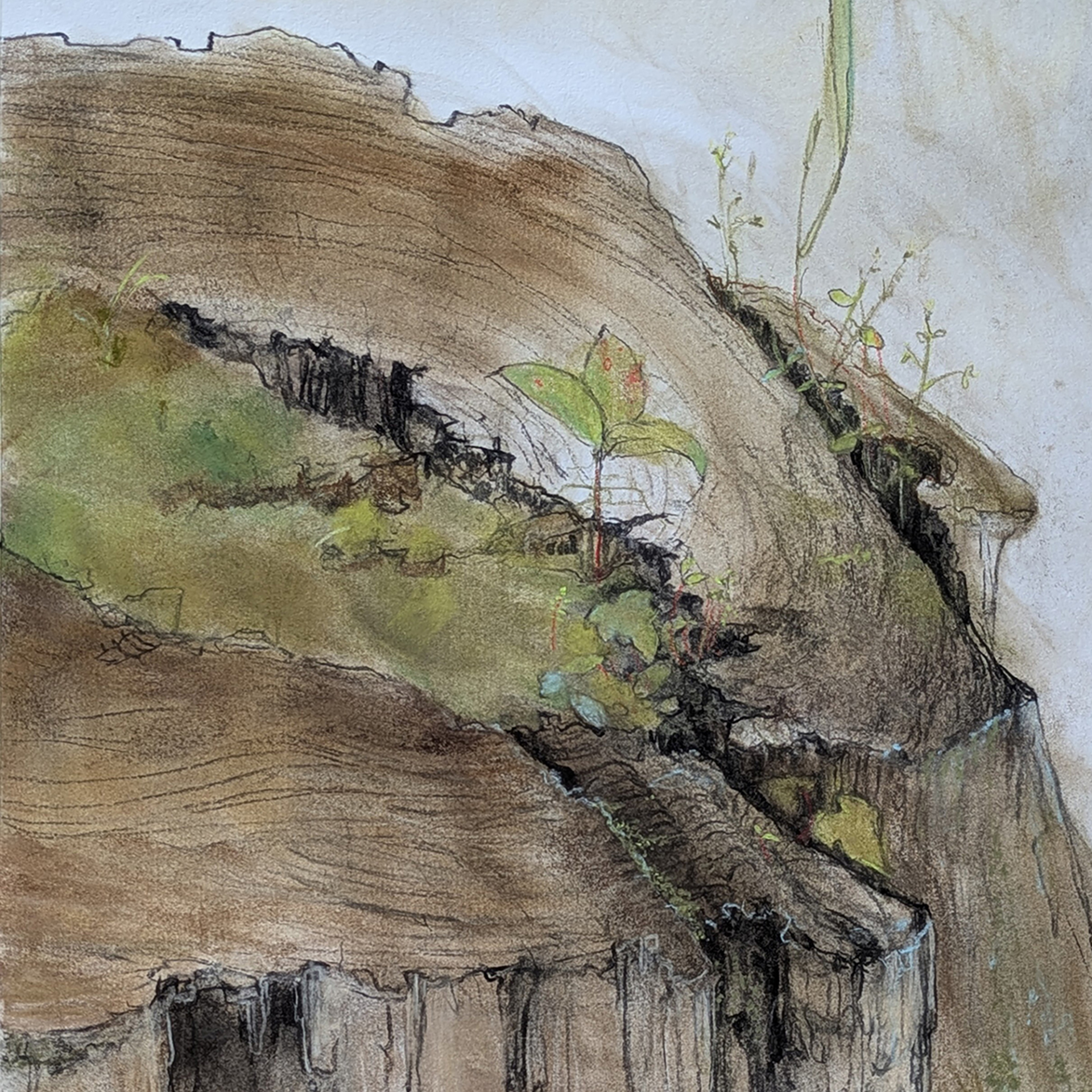 Woman with artichoke.jpg