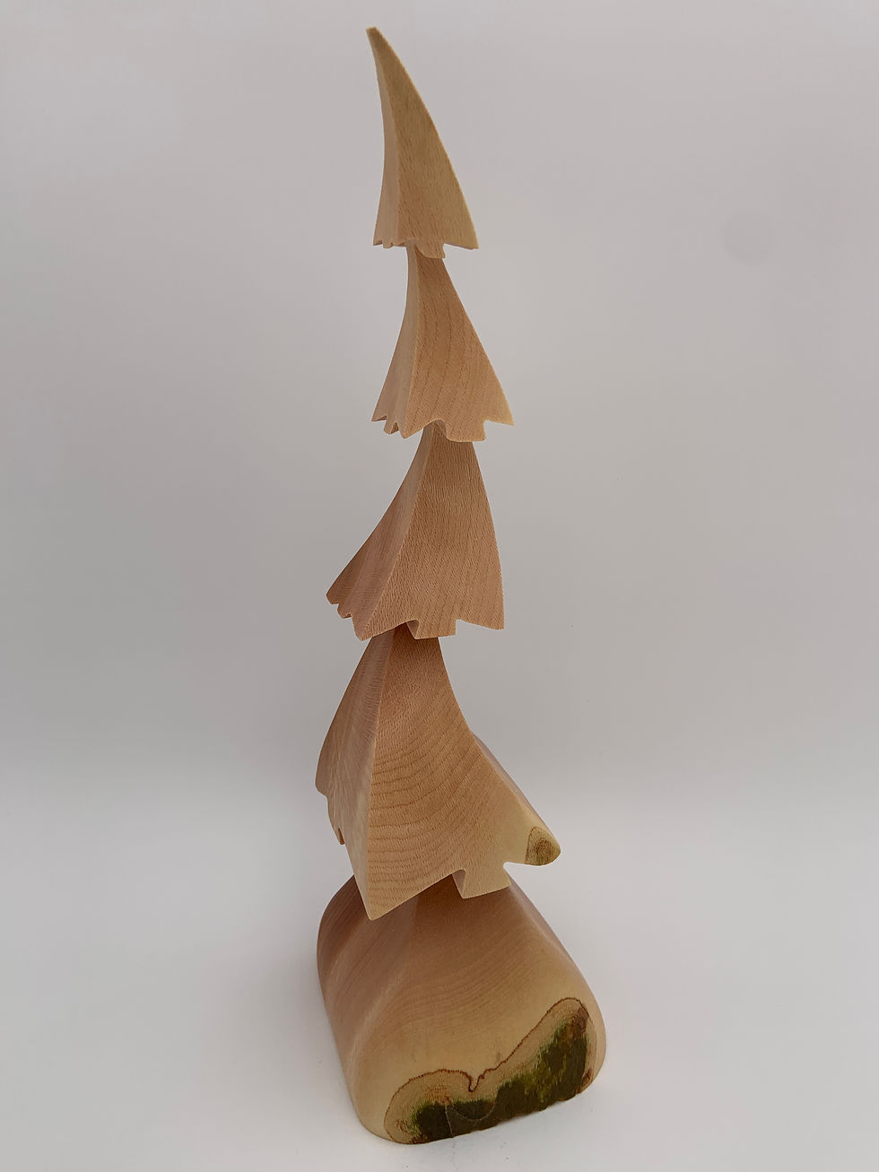 Thumbnail: Sycamore Tree