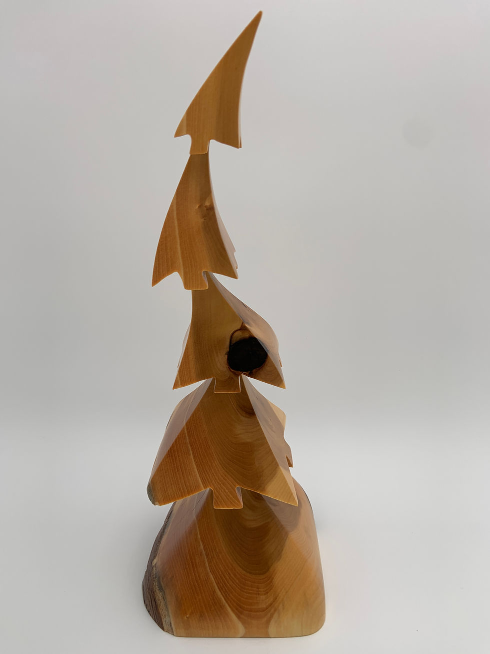 Thumbnail: Ginkgo Tree