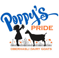 Poppy's Pride Obies.jpeg