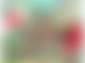 Bunka no Hi Saturday November 15, 2025