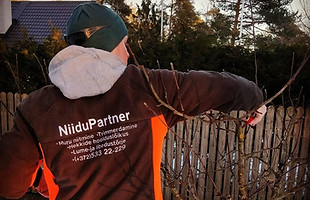 Viljapuude lõikus.jpg