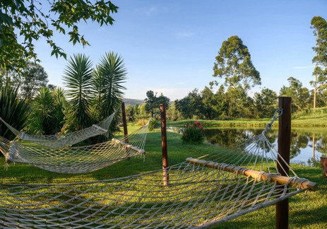 View of hammocks onto lake