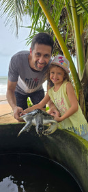 Turtle Hatchery Kosgoda