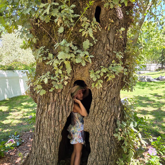 Girl playing hide and seek in tree