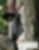 The-Link-Spring-2026-Cover.png