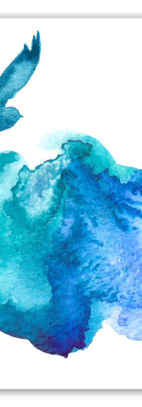 ציפורים כחולות.png