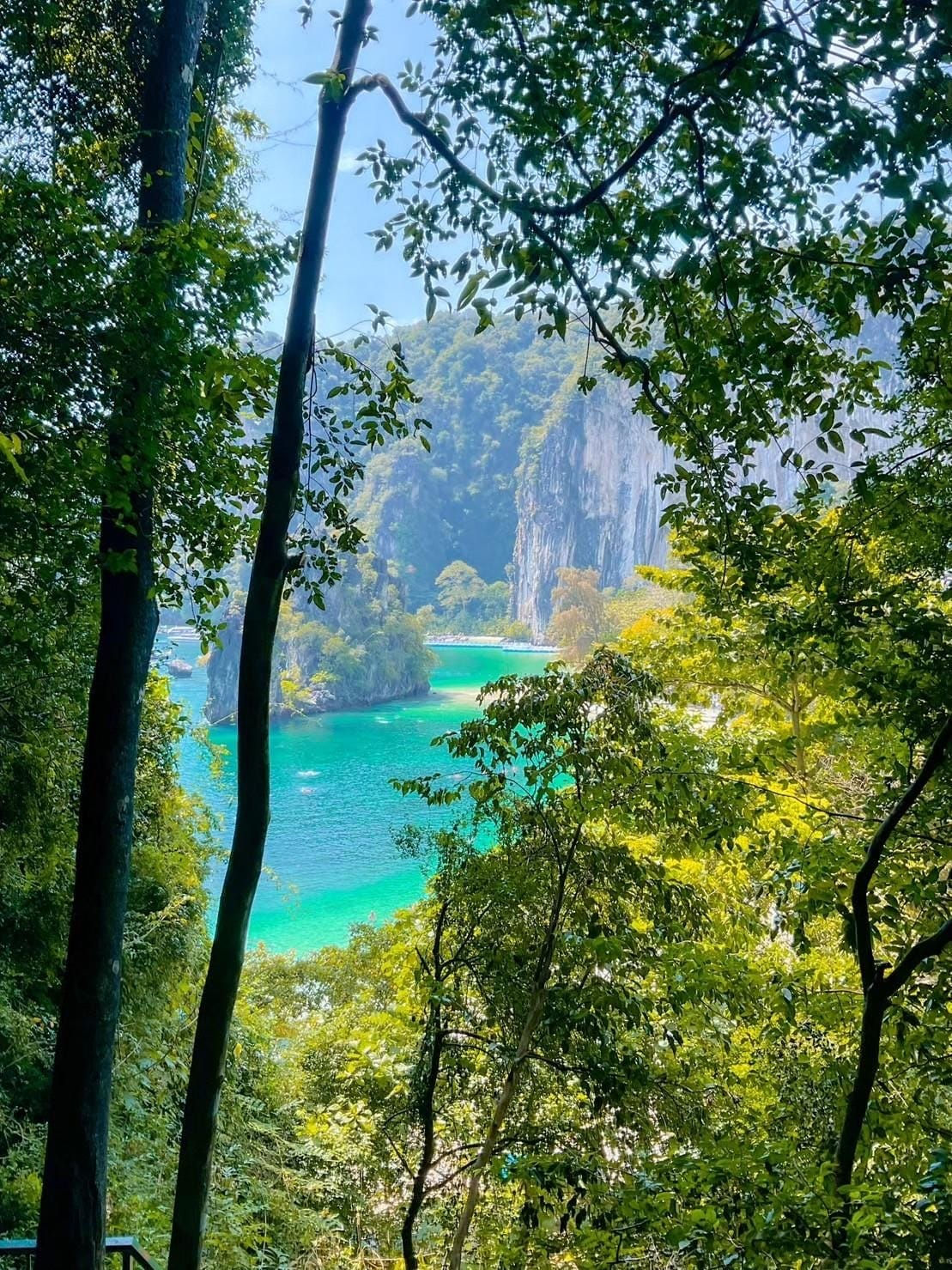 جزر هونج كرابي & كو ياو ياي + الريف التايلاندي