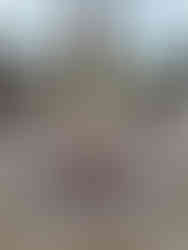 Sacred circle views looking out to the machair in Outer Hebrides. Scotland. A unique, untouched landscape as featured on Wild Isles