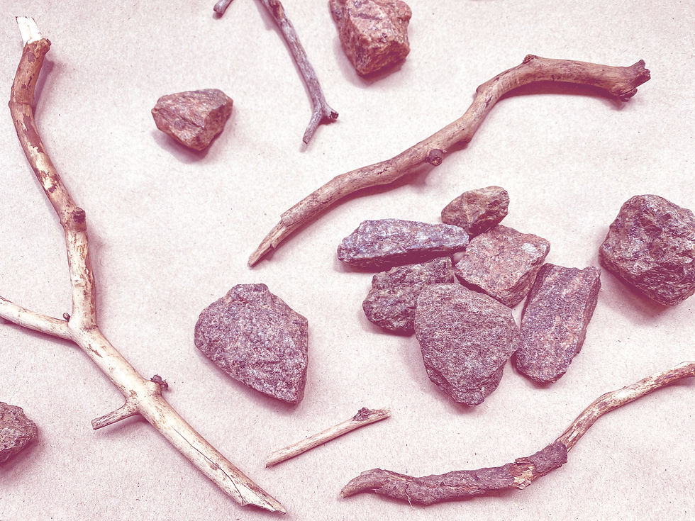 Rocks and twigs scattered on a beige surface. Earthy tones dominate, creating a natural and rustic atmosphere.