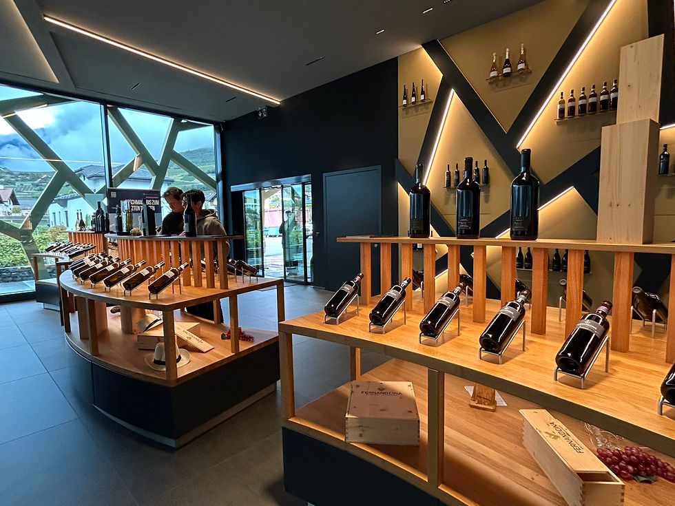 Weindegustation und Kellereiführung bei Fernand Cina in Salgesch