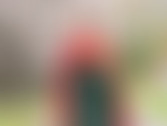 桜写真のススメ